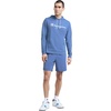 image:imageChampion Mens Long Sleeve Tshirt Hoodie Retired ColorsCoastal Fjord  Classic Script Logo