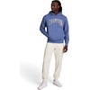 image:imageChampion Mens Modern Retro 100 Washed Cotton Pullover Hoodie Standard FitCoastal Fjord