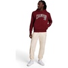 image:imageChampion Mens Modern Retro 100 Washed Cotton Pullover Hoodie Standard FitPomegranate