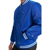 image:imageChampion Mens Logo Stripedtrim Varsity JacketSurf the Web