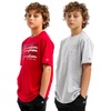 image:imageChampion Boys 2 Pack Short Sleeve Tee Shirt for KidsRedheather Grey