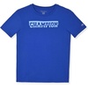 image:imageChampion Boys 2 Pack Short Sleeve Tee Shirt for KidsSurf the Web
