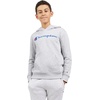 image:imageChampion Boys Boys Hoodie for Kids Sweatshirt Fleece Youth Pullover With HoodGrey Signature