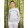 image:imageChampion Boys Boys Hoodie for Kids Sweatshirt Fleece Youth Pullover With HoodSignature Grey Heather