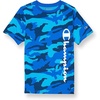 Bozzetto Bluecamo Script
