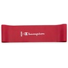 image:imageChampion Loop Resistance Bands 3Pack GreyRedBlue  Rubber Loop Bands  Strength Stretching amp FullBody Resistance Training  Light Medium amp Heavy Resistance Included